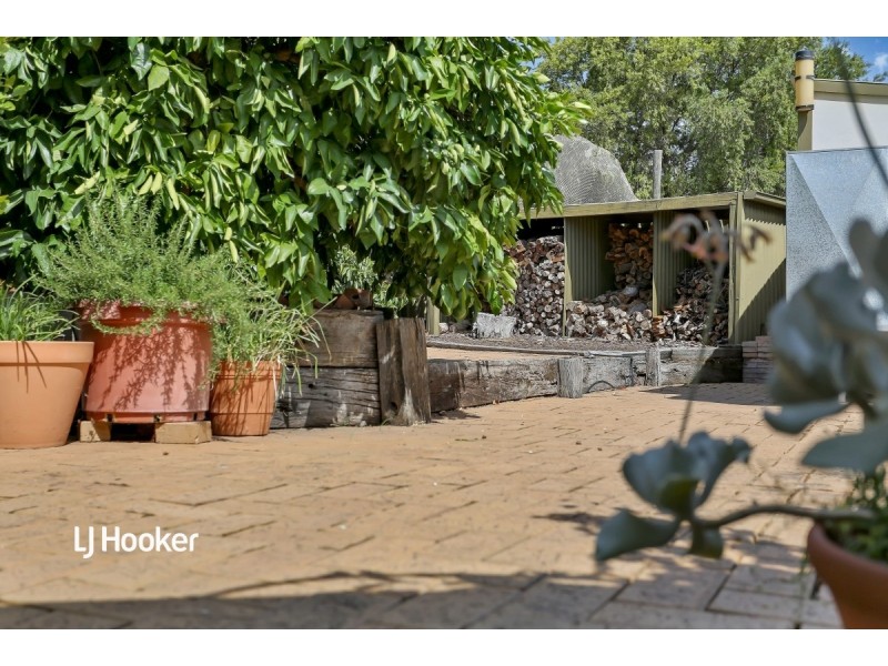 4 Abeona Close, Modbury Heights SA 5092