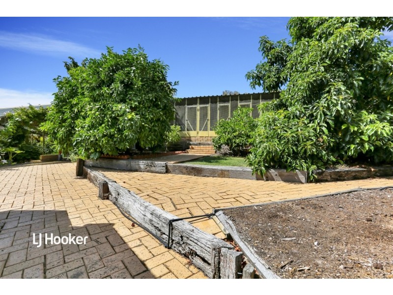 4 Abeona Close, Modbury Heights SA 5092