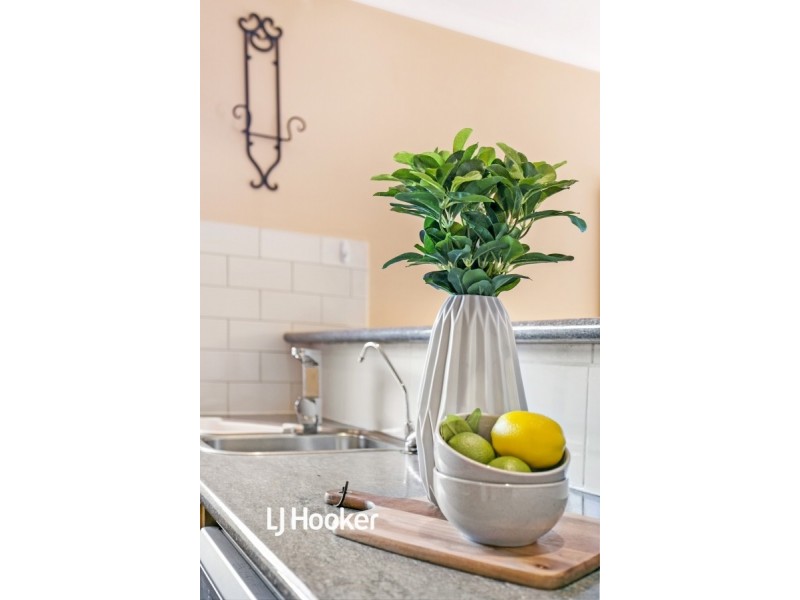 3 Kintyre Court, Greenwith SA 5125