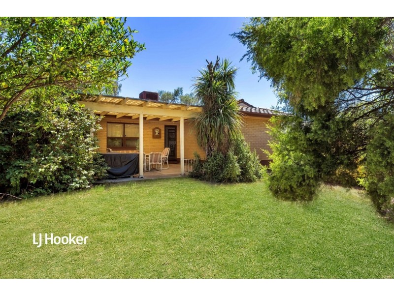 17 Castle Street, Modbury SA 5092