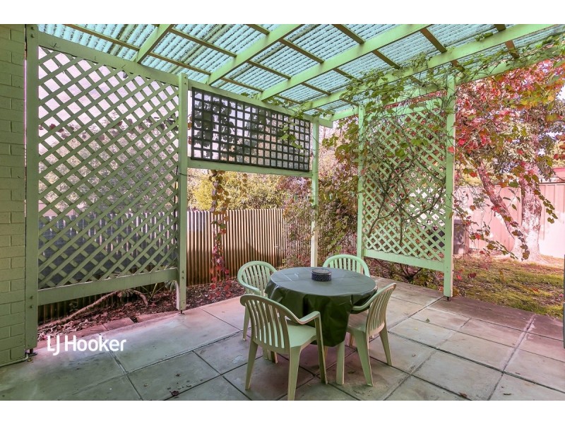 3 Horatio Street, Modbury SA 5092