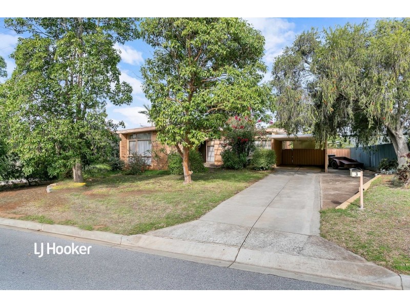 3 Horatio Street, Modbury SA 5092