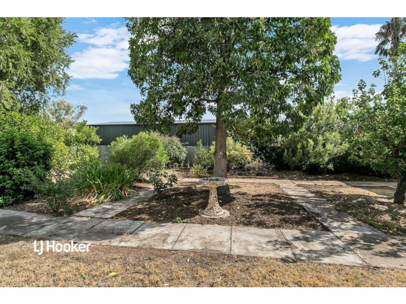 8 Scott Street, Sefton Park SA 5083