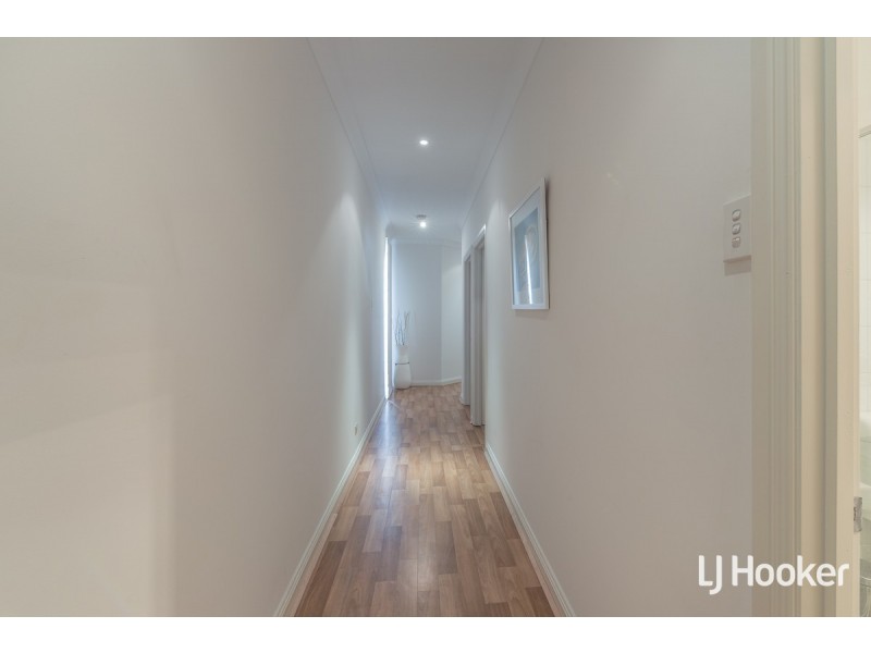 5 Dudley Street, Parkside SA 5063