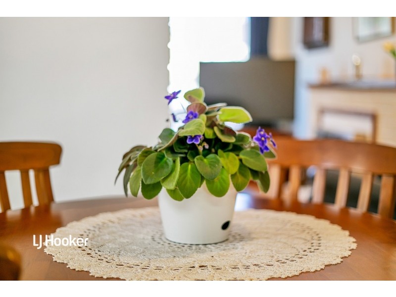 10 Crozier Avenue, Modbury SA 5092