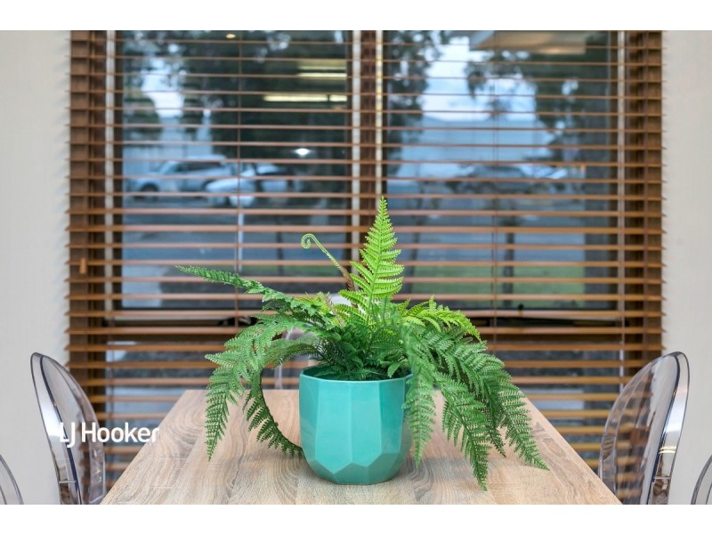 6 Roebling Street, Modbury Heights SA 5092