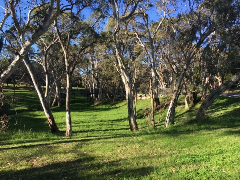 Lot 1/1 Stevens Drive, Ridgehaven SA 5097