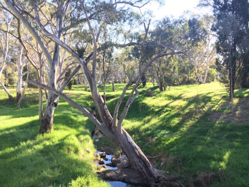 Lot 1/1 Stevens Drive, Ridgehaven SA 5097