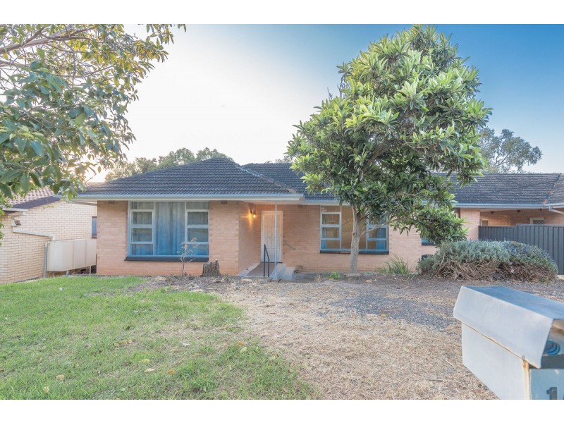 16a Victoria Drive, Modbury SA 5092