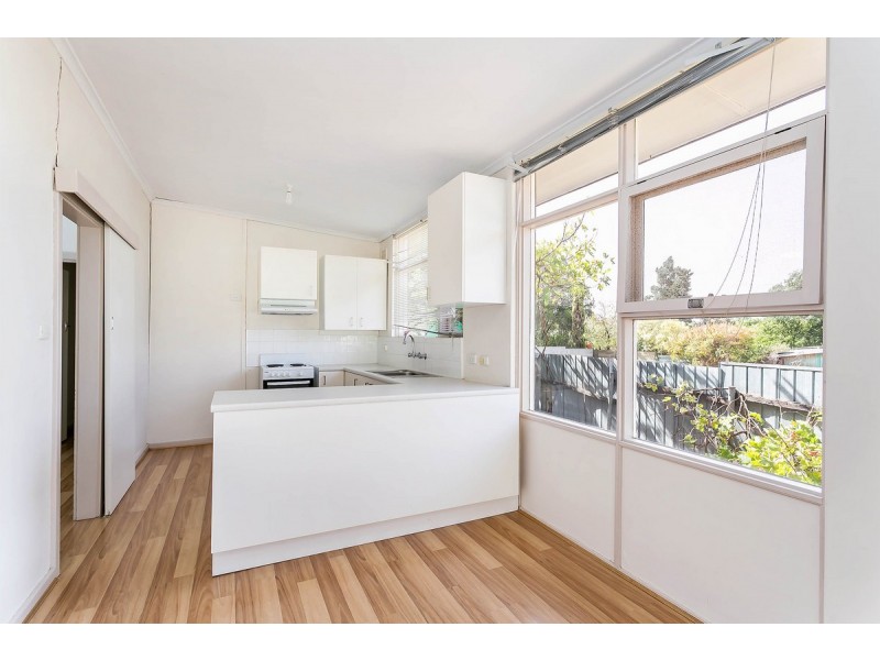 1 Canna Avenue, Modbury SA 5092