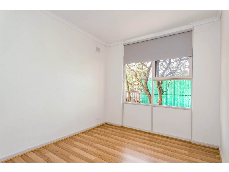 1 Canna Avenue, Modbury SA 5092