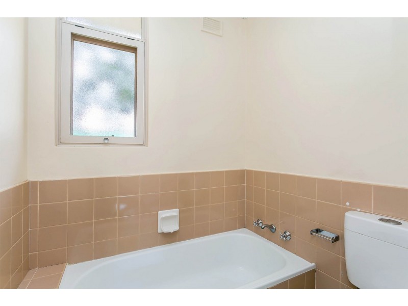 1 Canna Avenue, Modbury SA 5092
