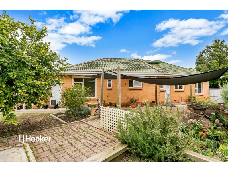 65 Pegasi Avenue, Hope Valley SA 5090