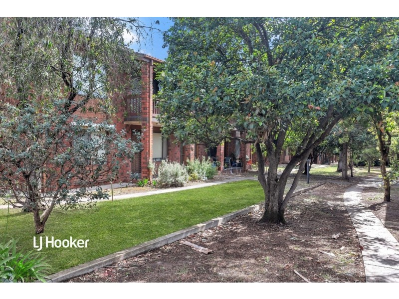 11/20 Roberts Street, Unley SA 5061