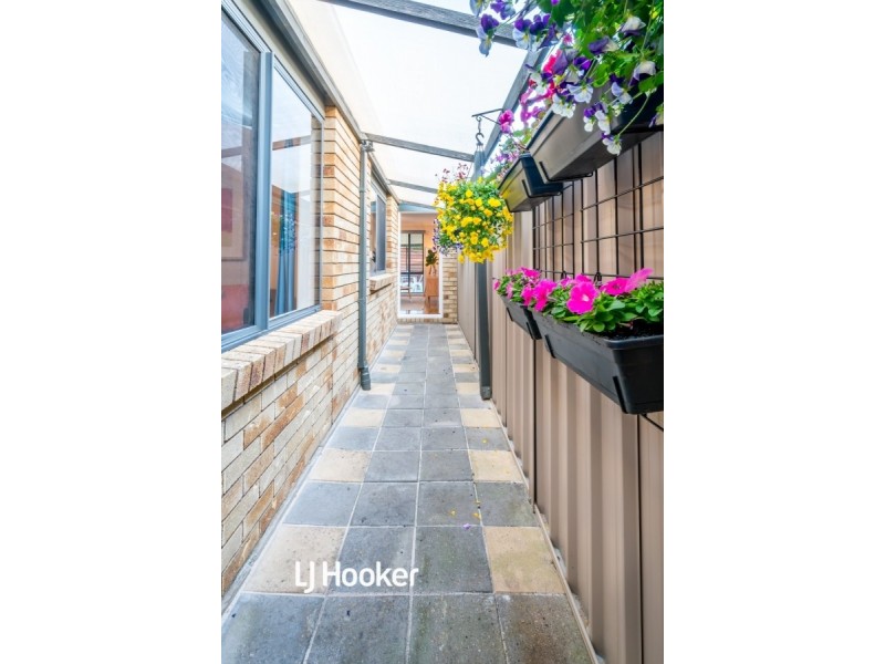 10 Temple Court, Oakden SA 5086