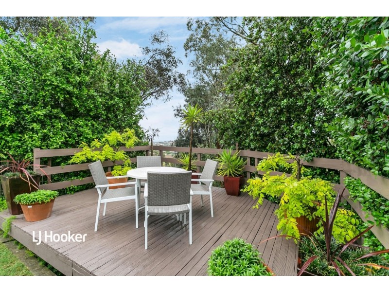 3 Exe Court, Modbury Heights SA 5092