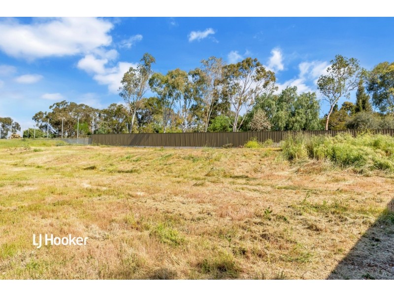 17 Peregrine Way, Greenwith SA 5125