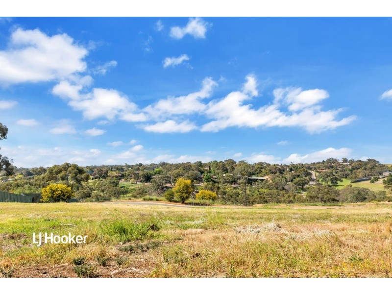 17 Peregrine Way, Greenwith SA 5125