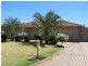 21 Greenwillow Avenue, Paradise SA 5075