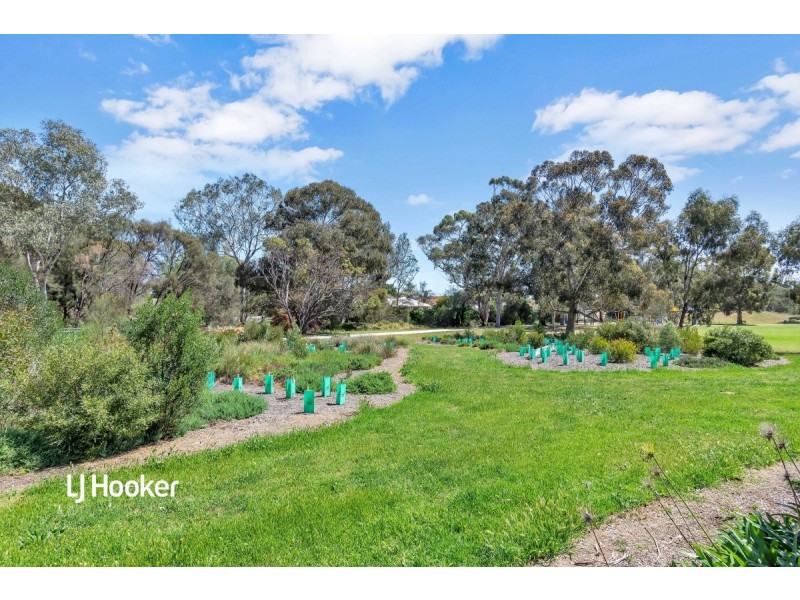 14 Trellios Street, Modbury SA 5092