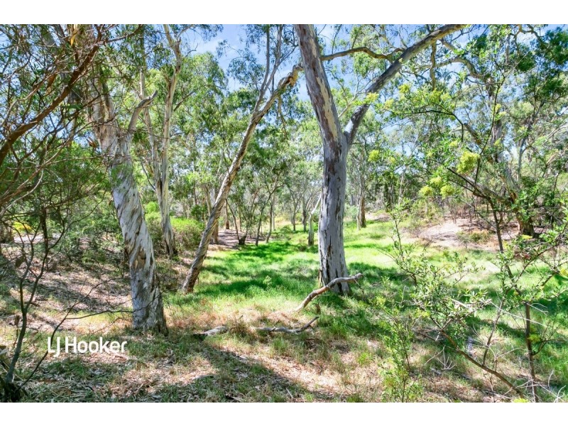 1 Sullivan Street, Fairview Park SA 5126