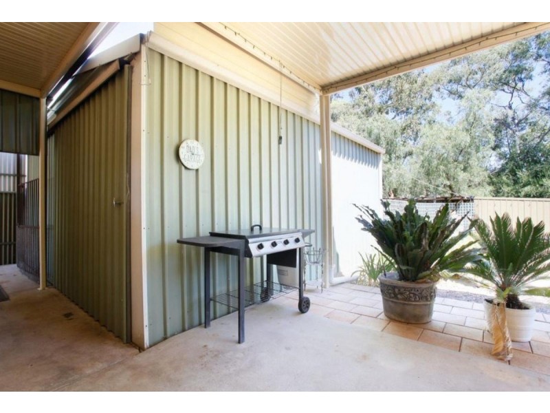 5 Clyde Street, Modbury SA 5092