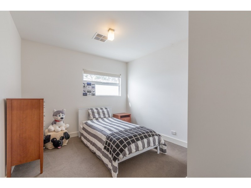 12 Barr Smith Avenue, Myrtle Bank SA 5064