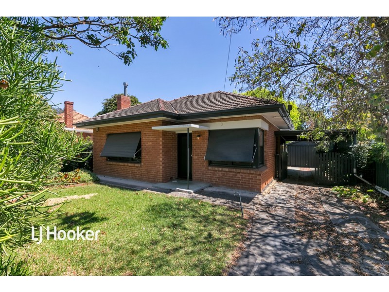 4 David Avenue, Black Forest SA 5035