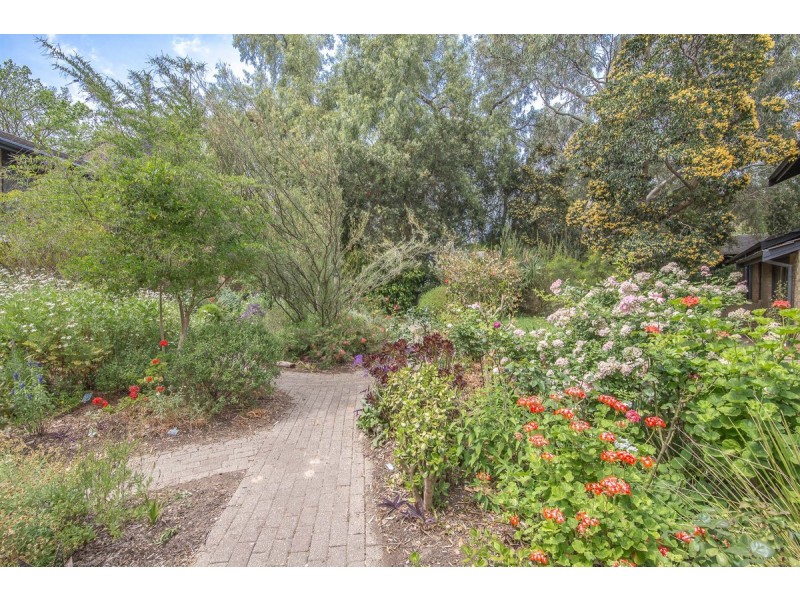 6/6 Vailima Court, Hackney SA 5069