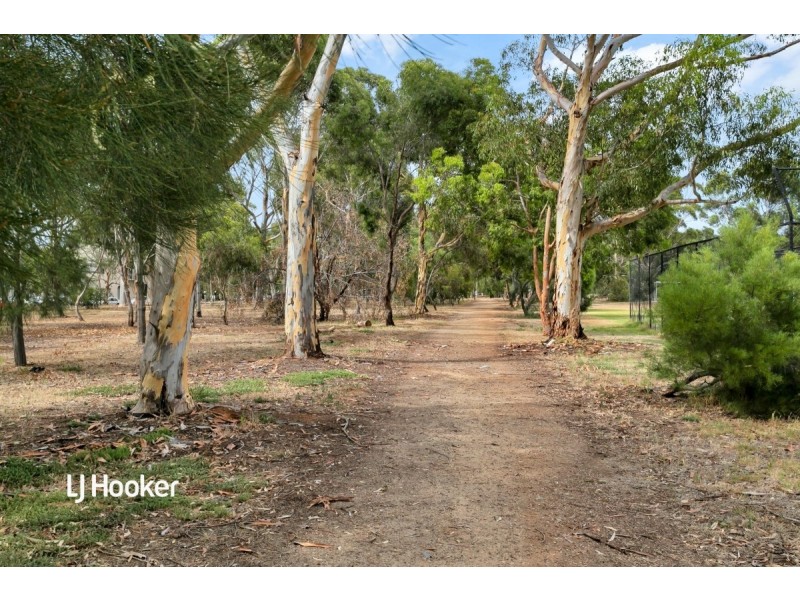 8/12 Kingston Terrace East, North Adelaide SA 5006