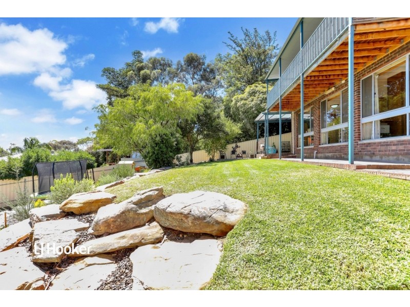 22 Musgrave Avenue, Banksia Park SA 5091