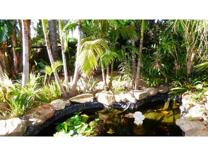 12 Minerva Crescent, Modbury Heights SA 5092