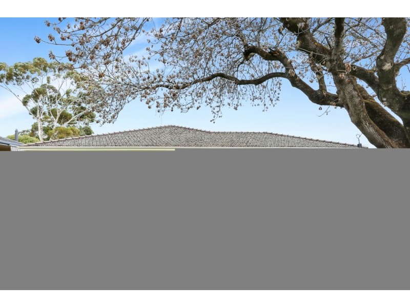 8 Sturdee Street, Linden Park SA 5065