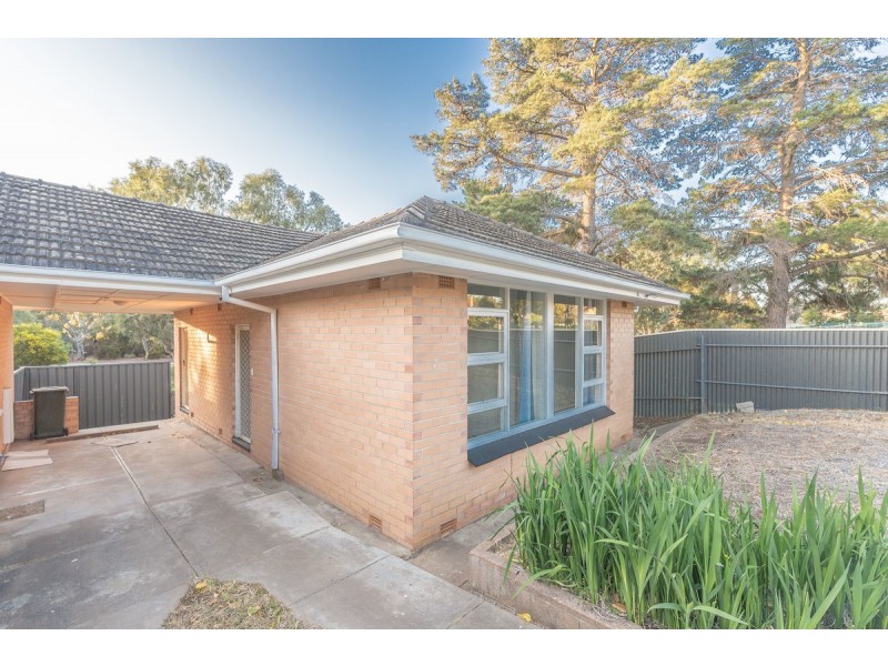 16b Victoria Drive, Modbury SA 5092