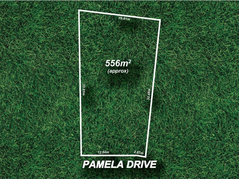 12 Pamela Drive, Para Hills SA 5096