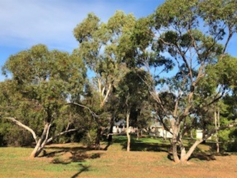 12 Pamela Drive, Para Hills SA 5096