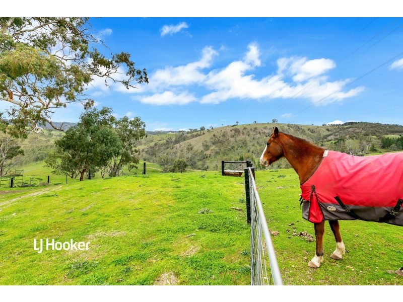 149 Seaview Road, Golden Grove SA 5125