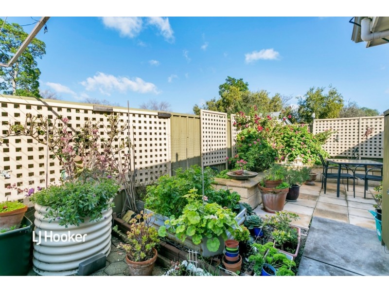 3/65 Harvey Street, Collinswood SA 5081