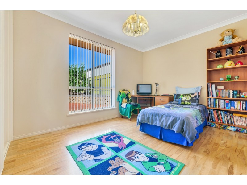 13 Parkwood Avenue, Paradise SA 5075