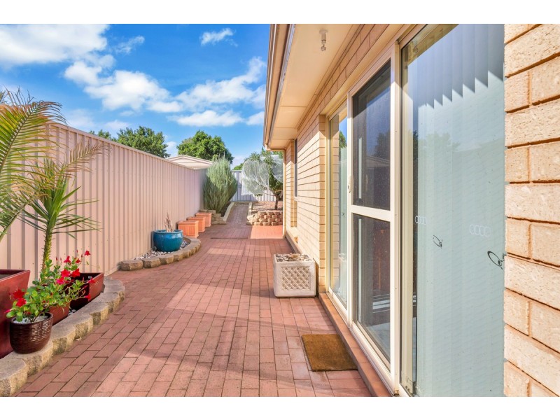 13 Parkwood Avenue, Paradise SA 5075