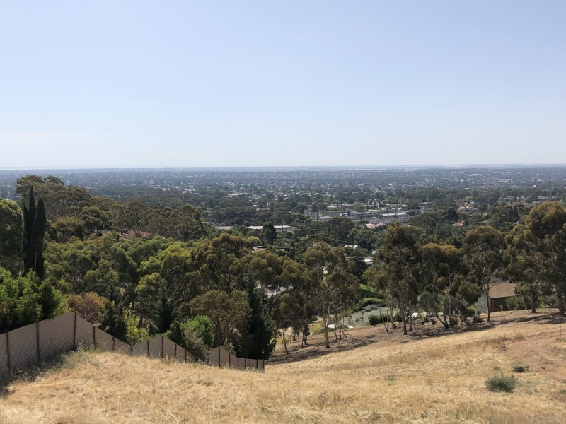 17 Bushy Park Drive, Auldana SA 5072