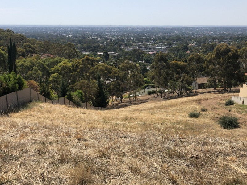17 Bushy Park Drive, Auldana SA 5072
