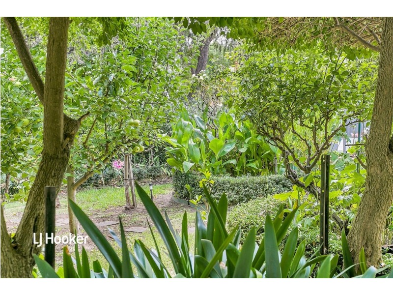 9 McNamara Street, Modbury Heights SA 5092