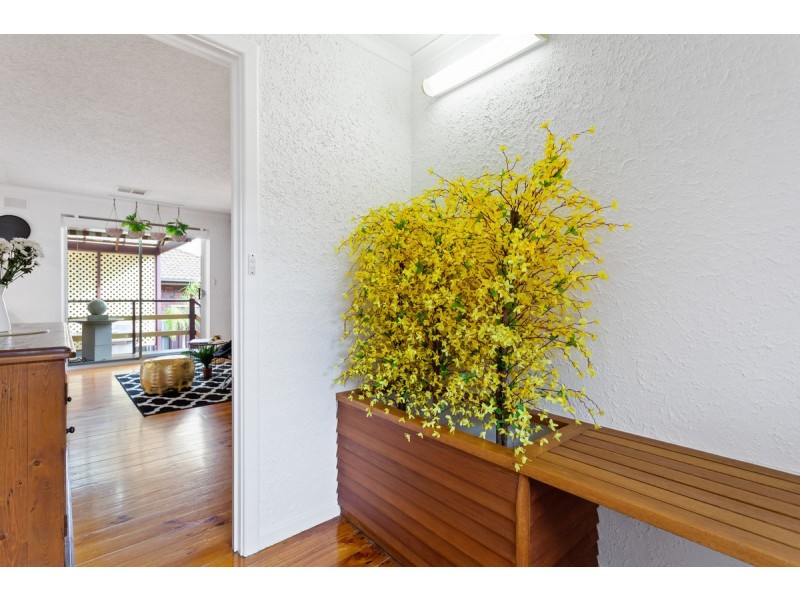 6 Marjorie Street, Gulfview Heights SA 5096