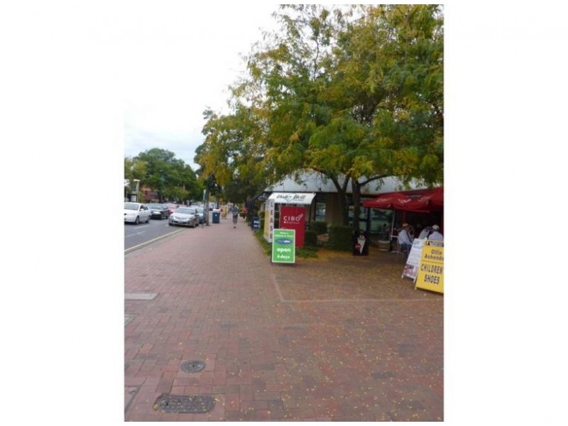 7/50 Jerningham Street, North Adelaide SA 5006