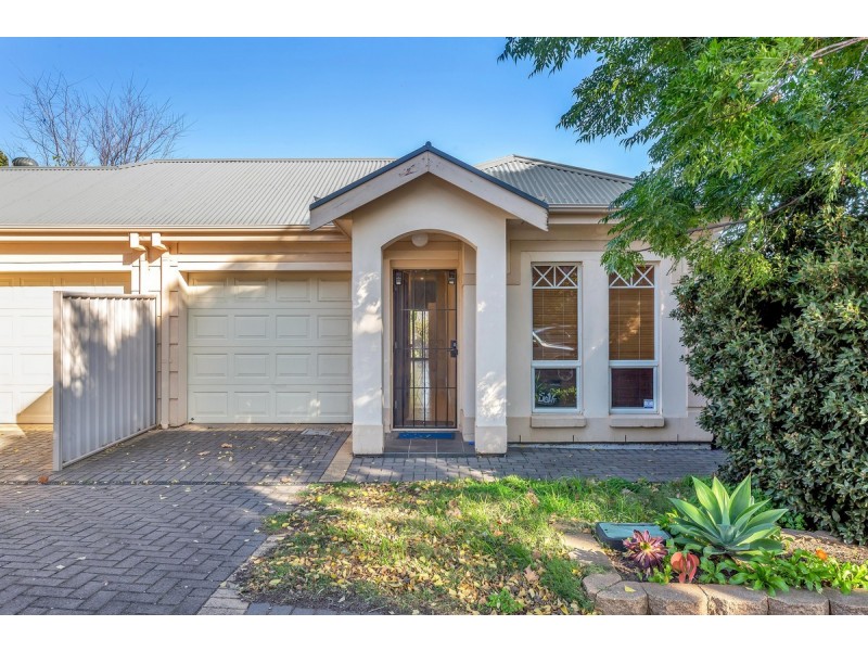 33 Dudley Avenue, Prospect SA 5082