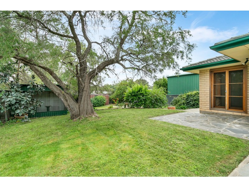 24 Greenbank Road, Athelstone SA 5076