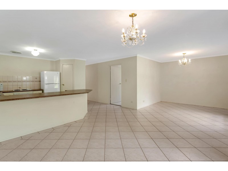 51 Patricia Avenue, Hillcrest SA 5086