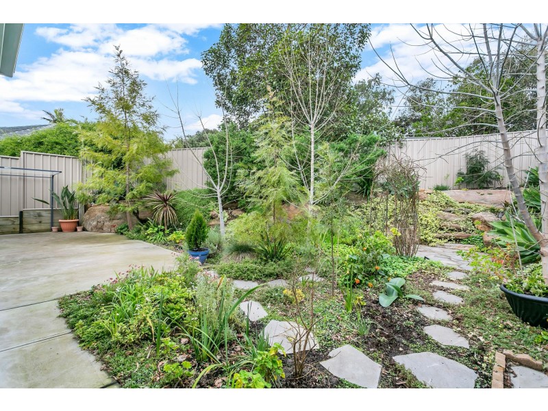 17A Stirling Walk, Redwood Park SA 5097