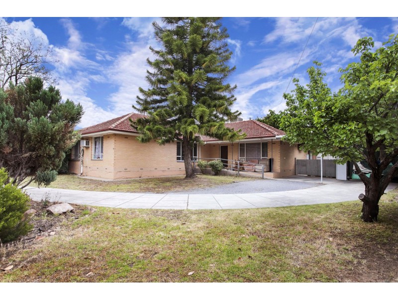 14 Morawa Avenue, Gilles Plains SA 5086